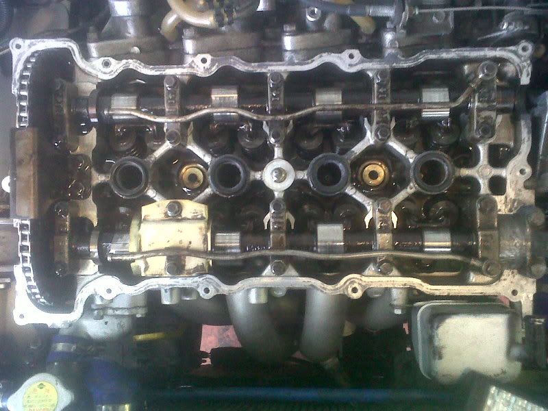 IMG00474-20120417-1730.jpg