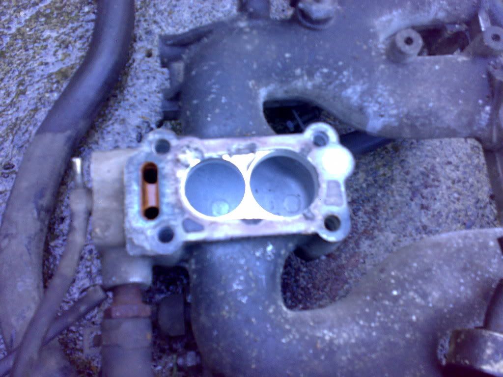 sunnymanifold.jpg