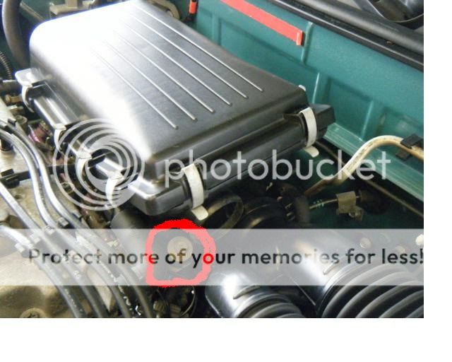 untitled.jpg