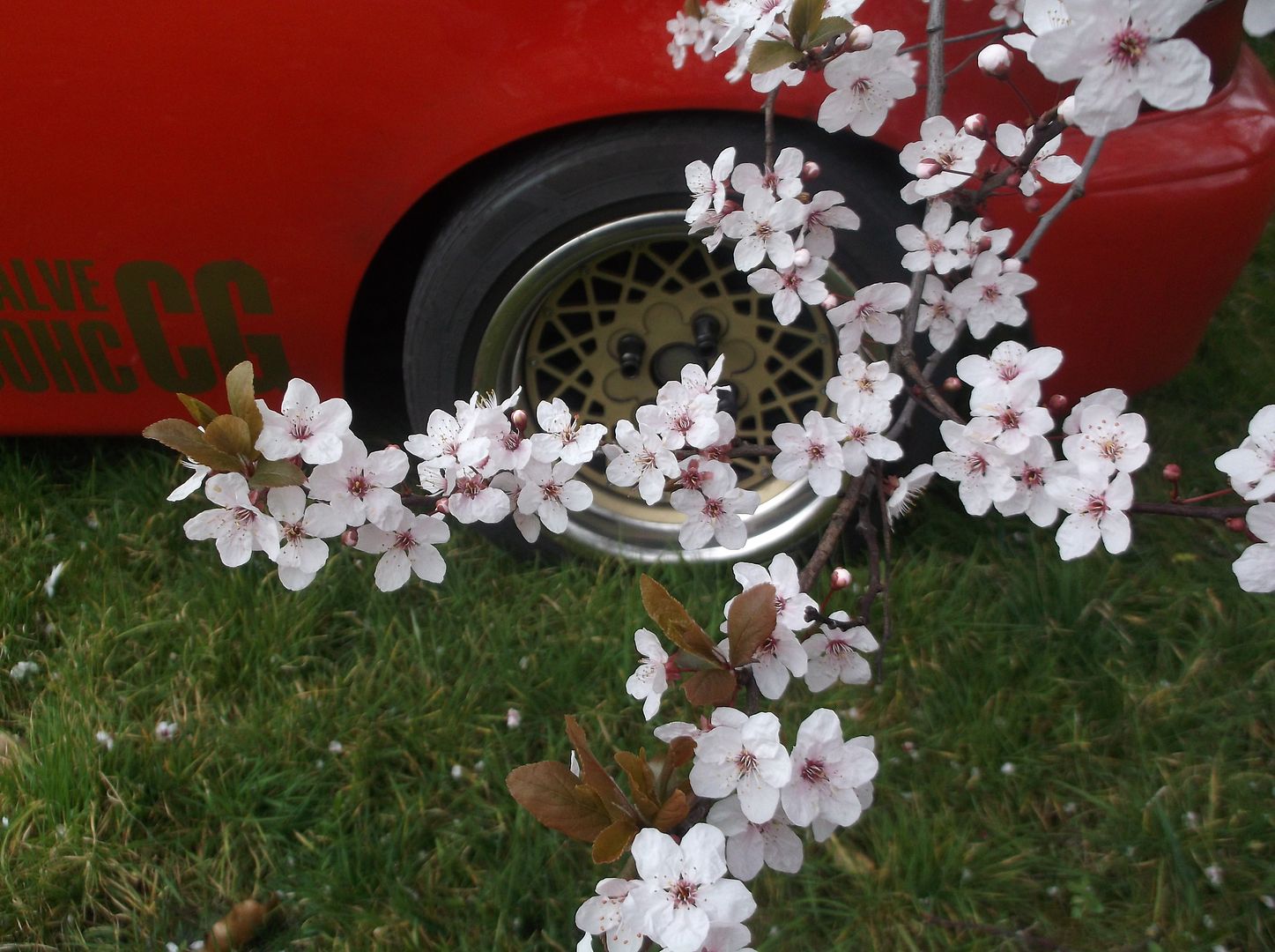 DSCF0757.jpg