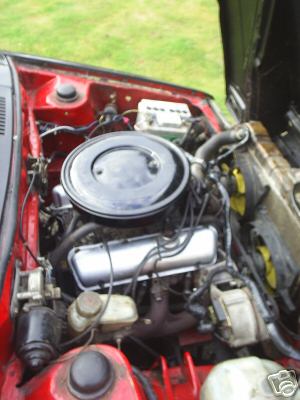 fluffymicrav64.jpg