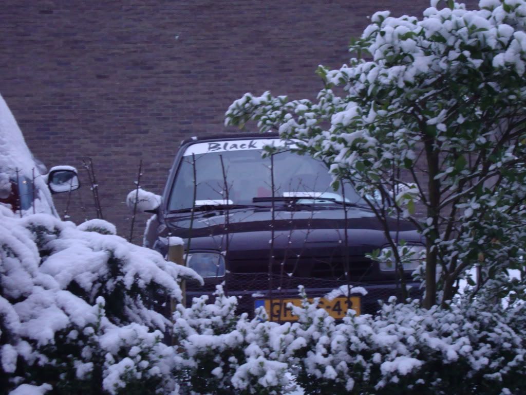 DSC00638.jpg