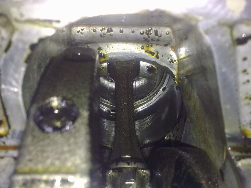 Image372.jpg