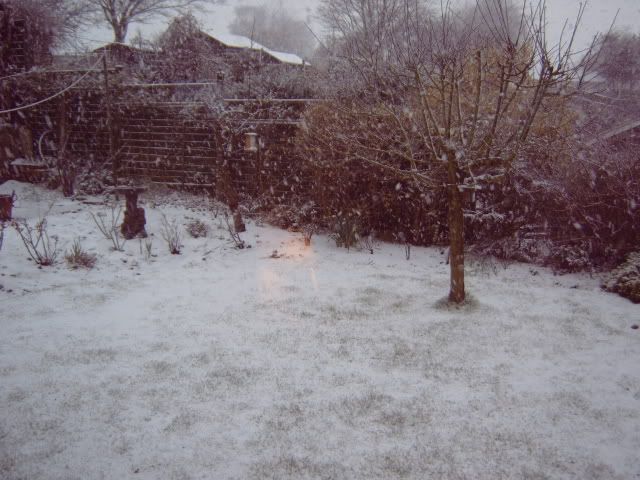 IMG00029.jpg