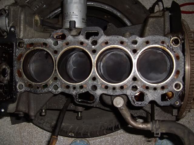 PICT2671.jpg