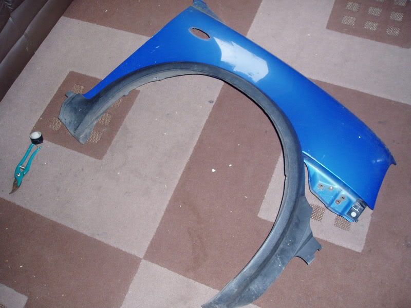 P1010273.jpg