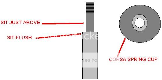 corsab.jpg