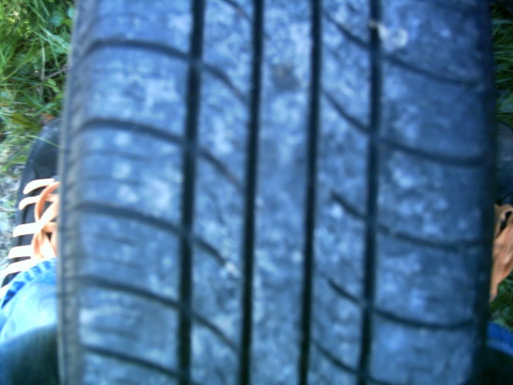 PICT0006.jpg