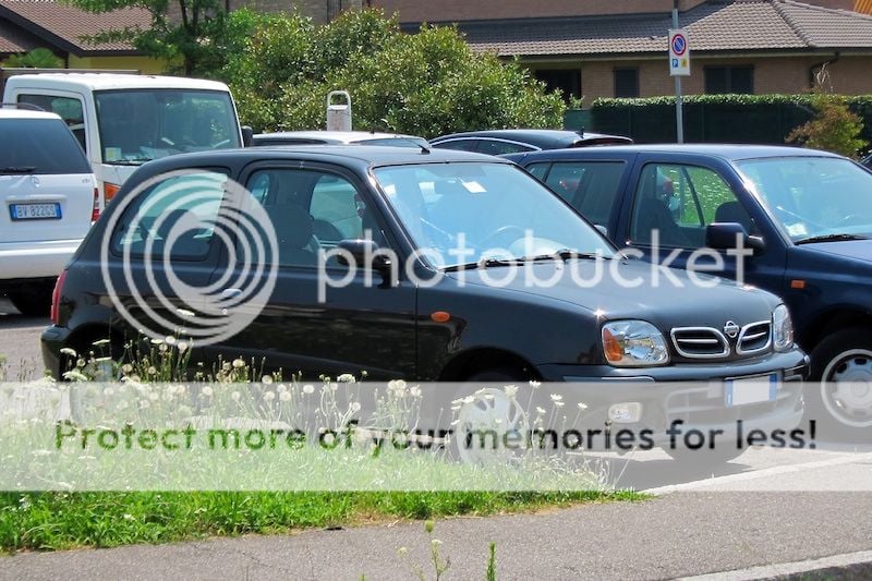 IMG_2076_zps092b367c.jpg