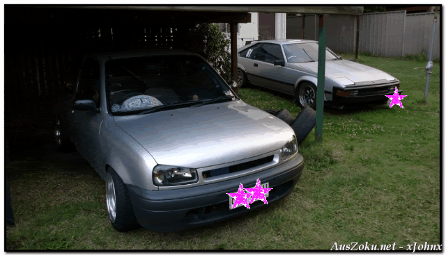 P1010482.gif