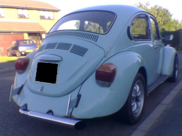 bug4.jpg