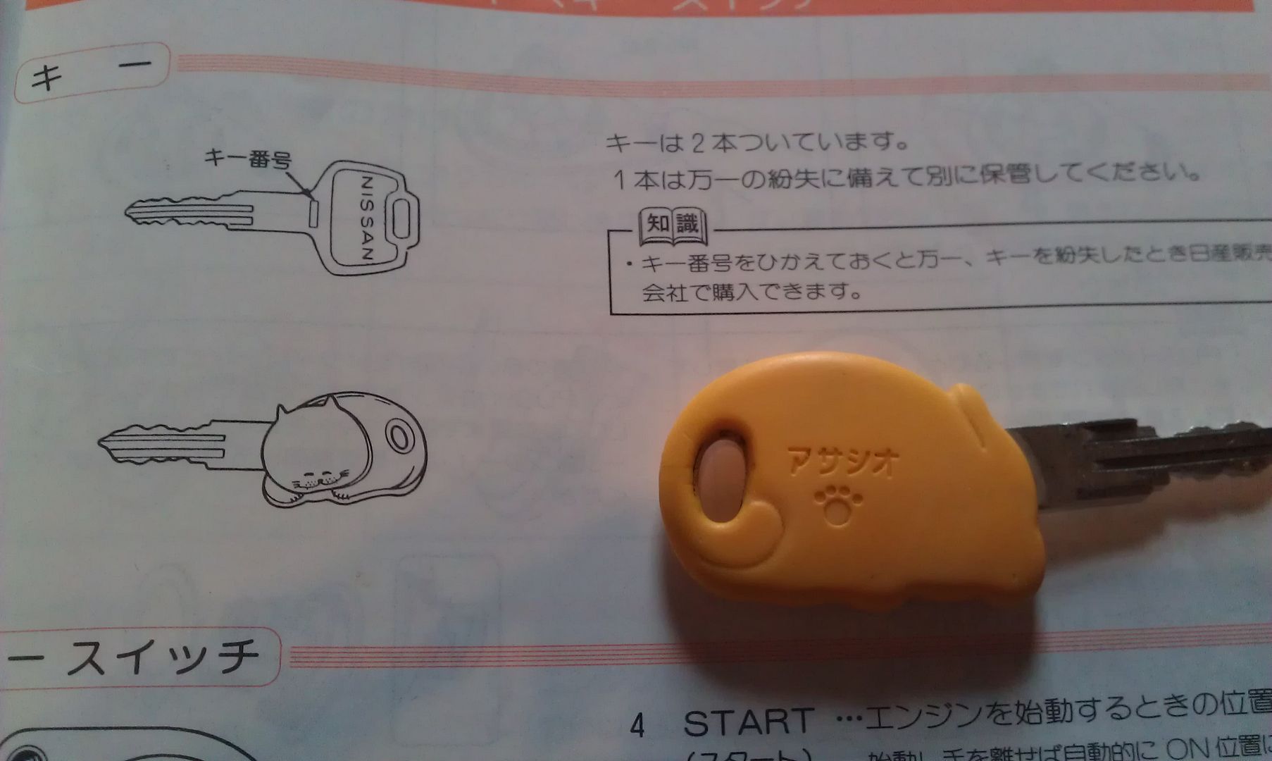 IMAG0498.jpg
