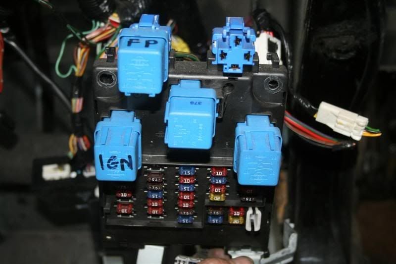IMG_4540Medium.jpg