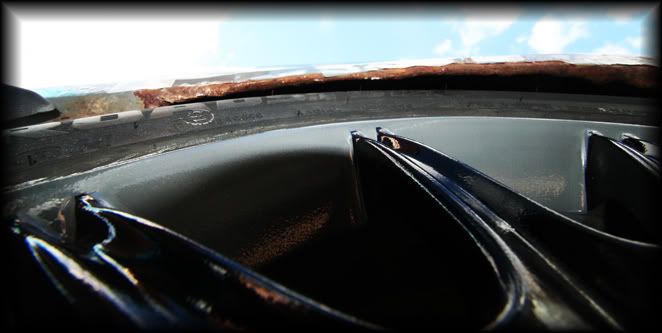 IMG_8253.jpg
