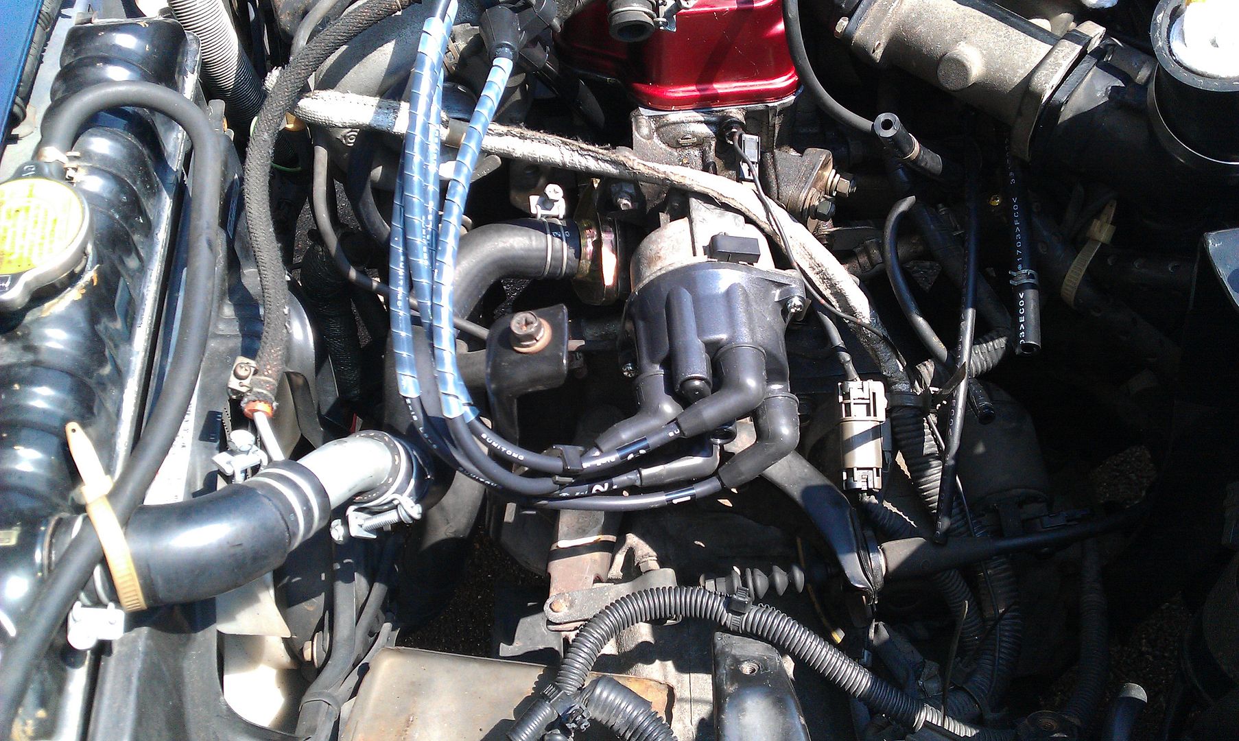 IMAG0577.jpg