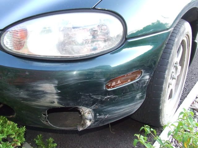 DSCF8881.jpg