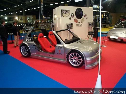 micra_1.jpg