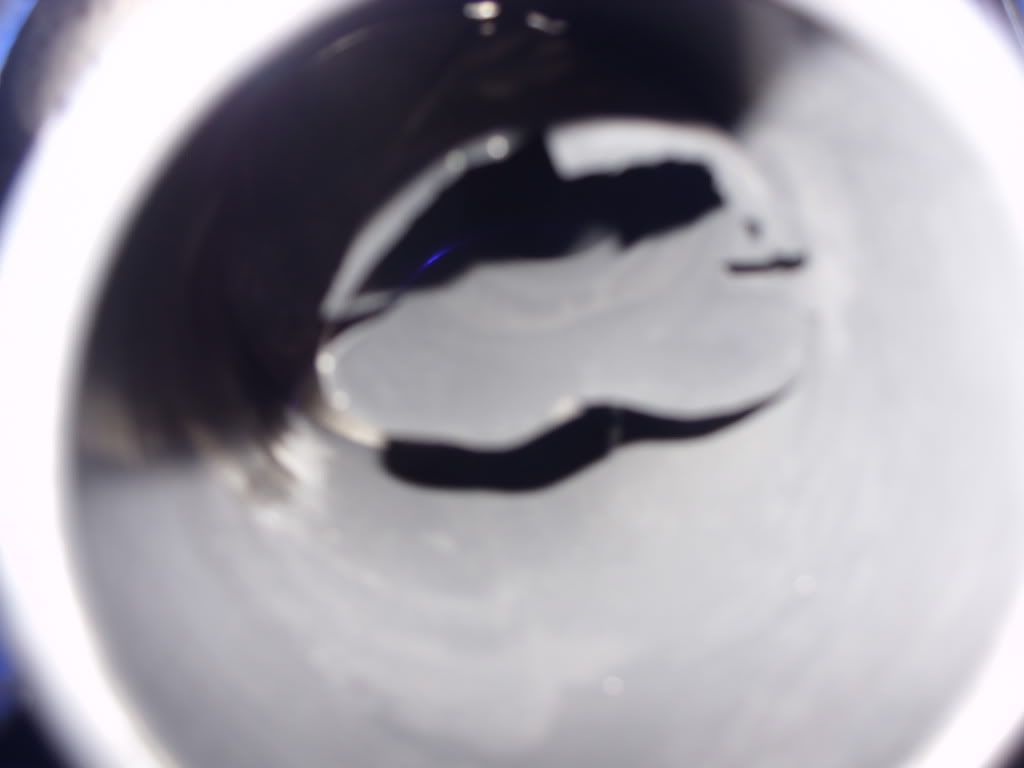 SDC11675.jpg