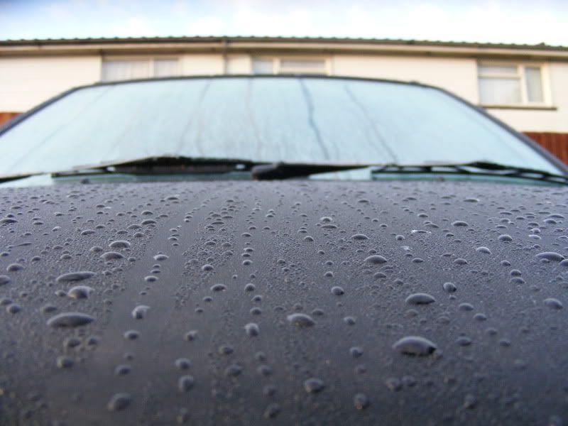 Micra138.jpg