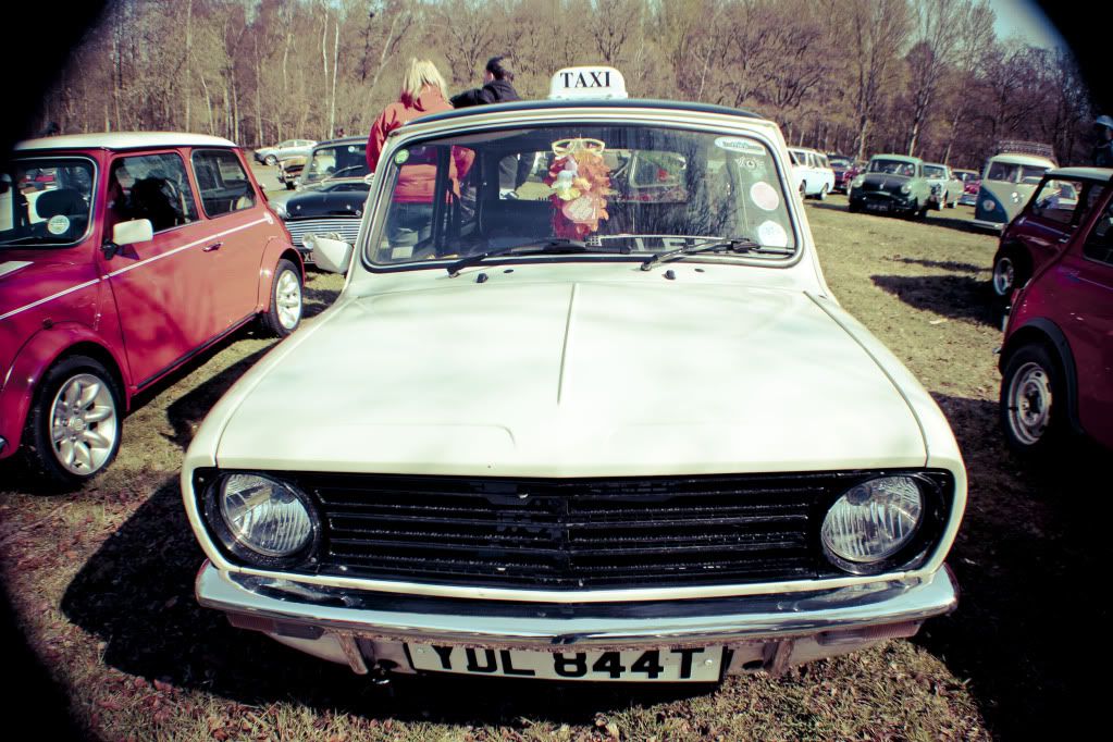 IMG_9453.jpg