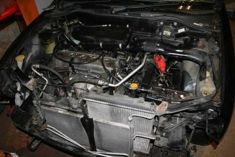 IMG_4505Medium.jpg
