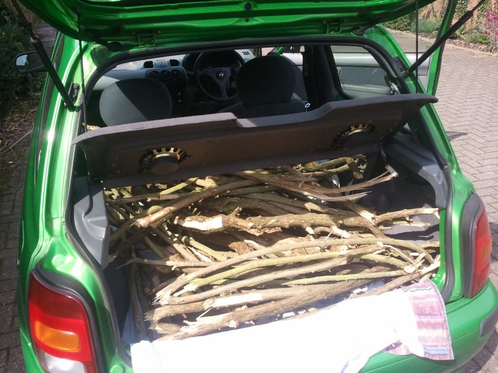 2011-07-14155113.jpg