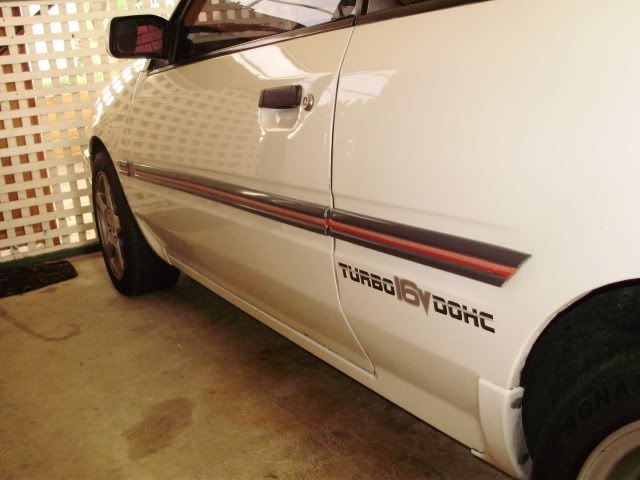 P3180870.jpg