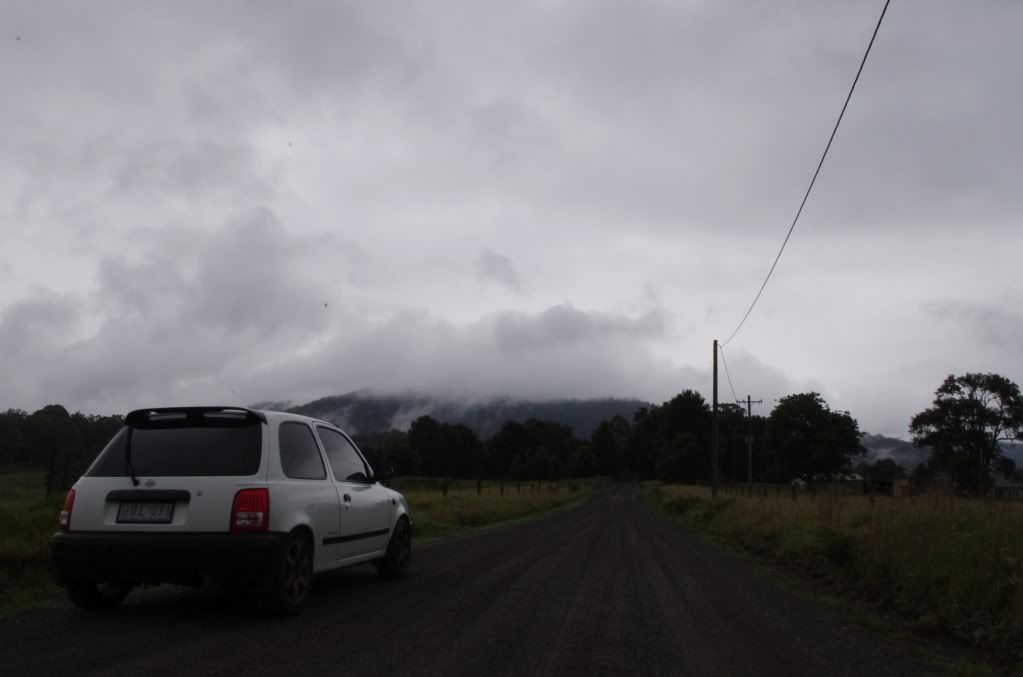 IMGP5242.jpg