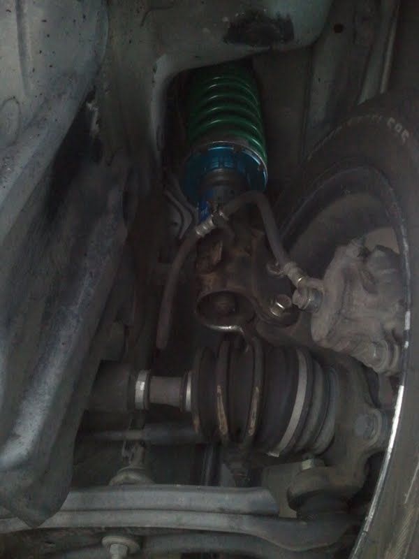 micra3.jpg