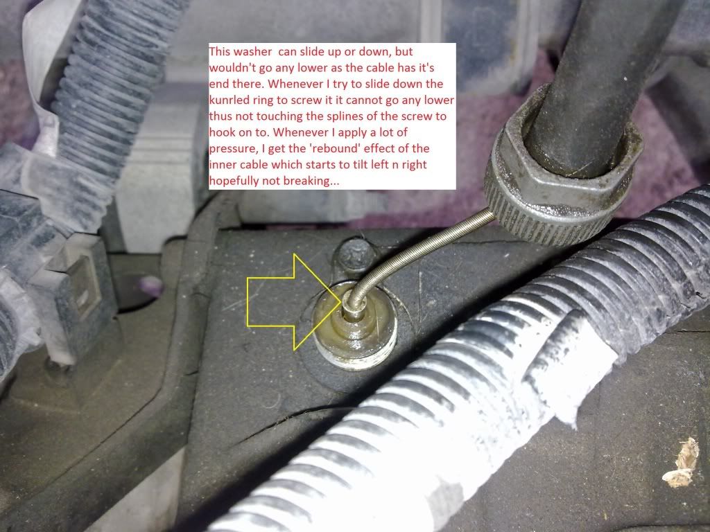 201120122388b.jpg