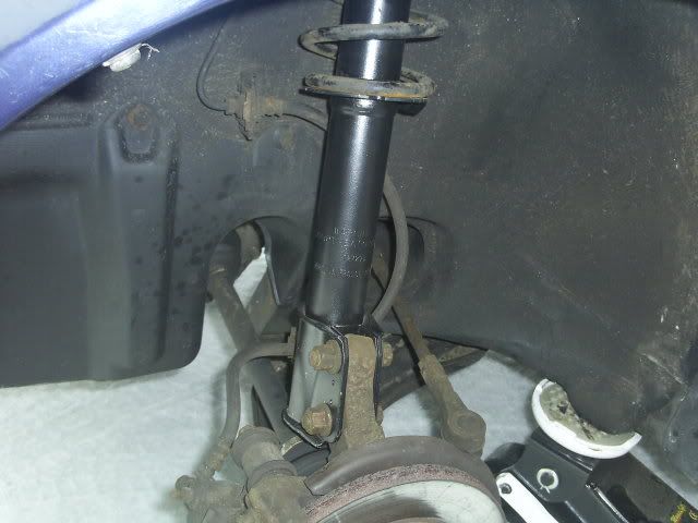 SUC50534.jpg
