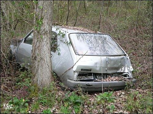 20060417b.jpg