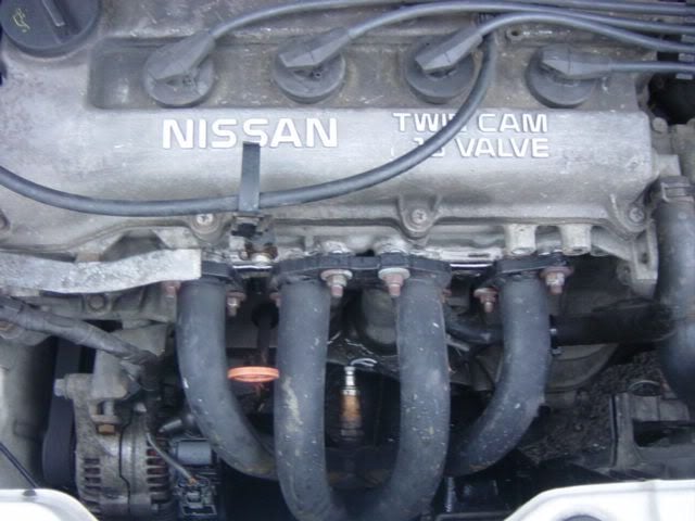 DSC04454.jpg