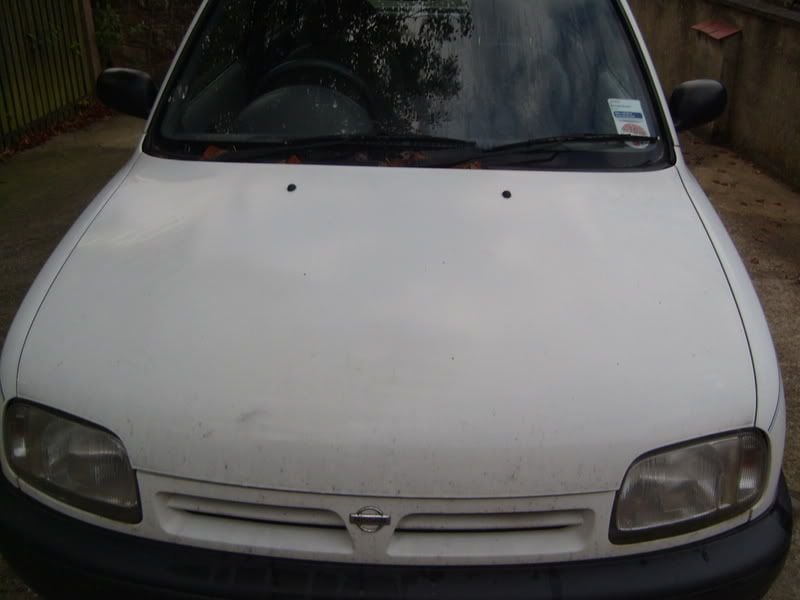 S7300493.jpg
