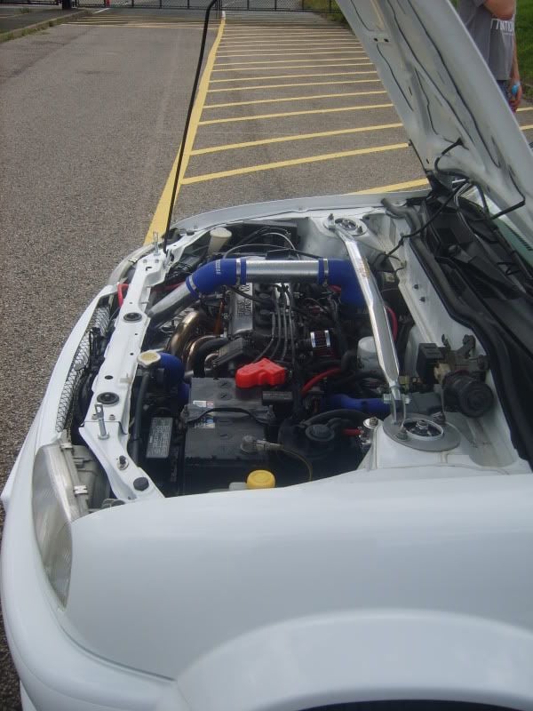 S8001840.jpg