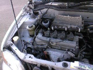 SP_A0271.jpg