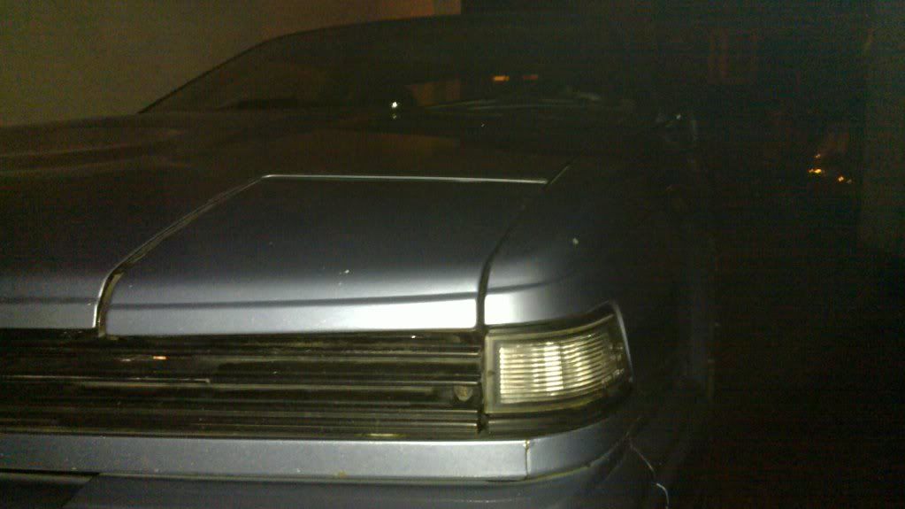 20110112_005.jpg