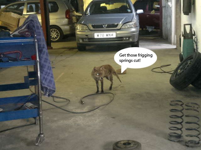 GarageFox.jpg