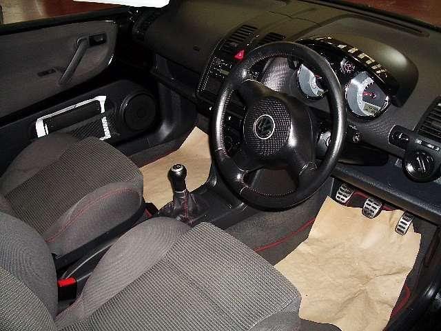 lupo4.jpg