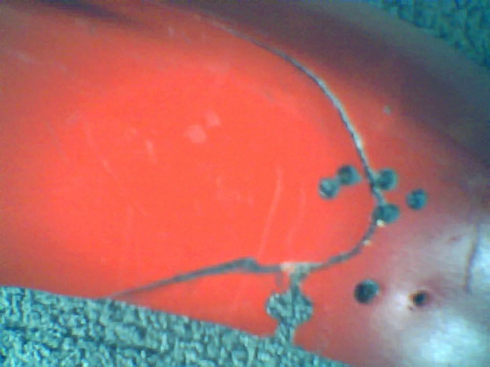 Photo007.jpg