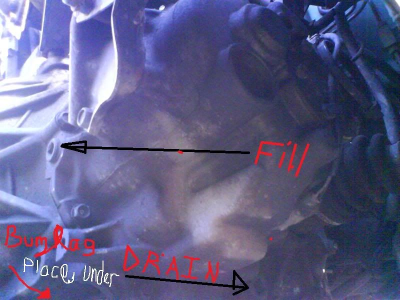 GEARBOXFILLDRAIN1LITREFACELIFTBOX.jpg