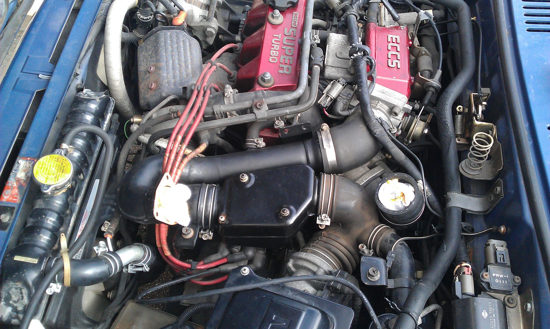 IMAG0548.jpg