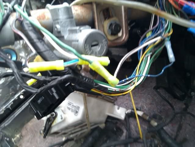 IMAG0072.jpg