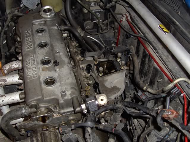 PICT2630.jpg