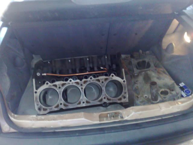 09092009125.jpg