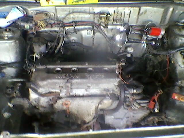 Photo-0016-1.jpg