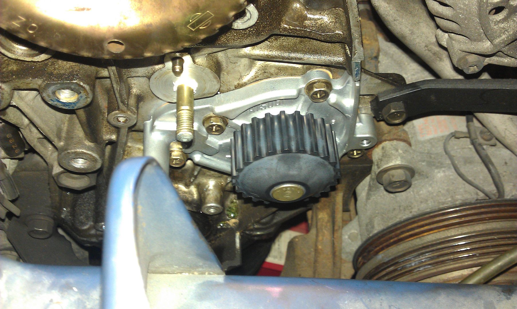 IMAG0564.jpg