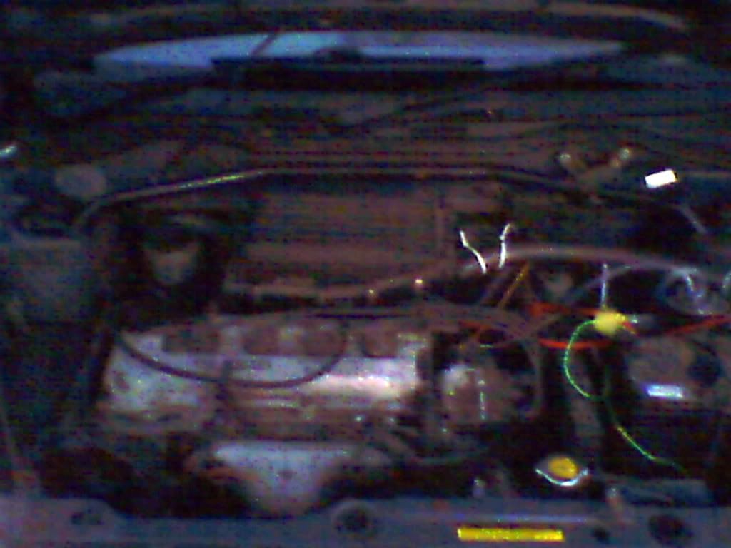Img00058_RGBMax.jpg