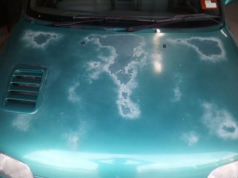 micra9.jpg