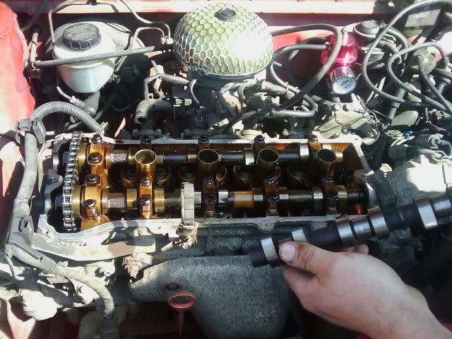 IMAG0079.jpg